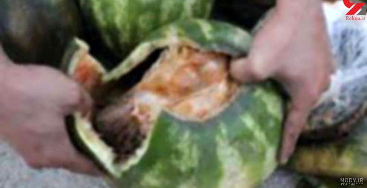 هندوانه آبی هندوانه آبی