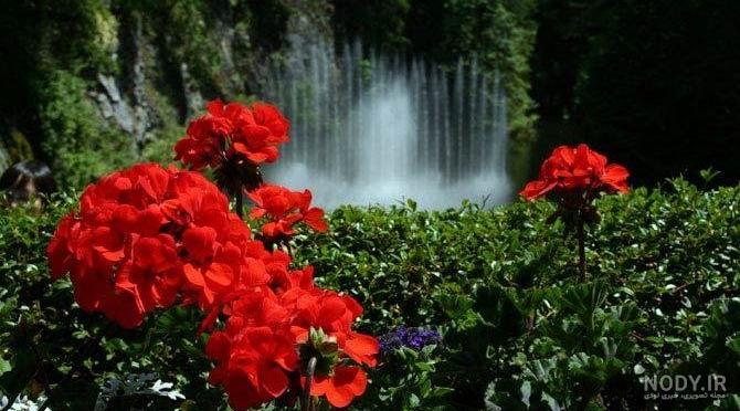 زیباترین عکس سال 2018 زیباترین عکس سال 2018