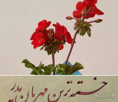عکس از روز پدر