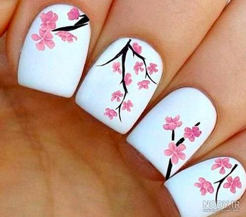 لاک یاسی کمرنگ لاک یاسی کمرنگ
