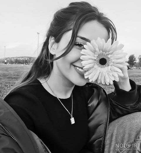 پروفایل تلگرام عکس پروانه برای