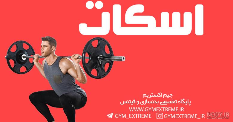 تصویر ورزش اسکات