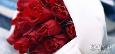 عکس عاشقانه آبی رنگ عکس عاشقانه آبی رنگ