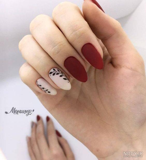 ناخن عروس هلندی