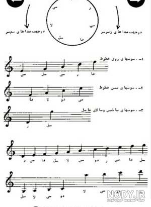 عکس سفید تار