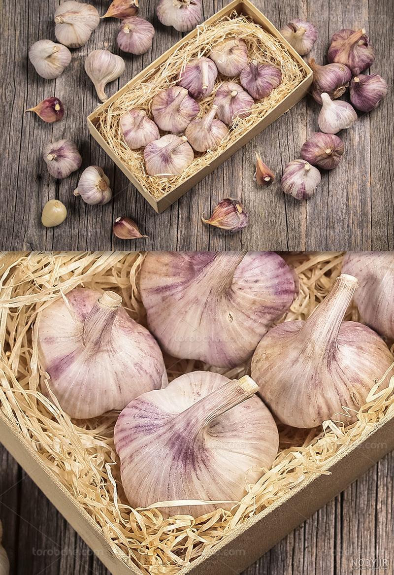 سیر سبز