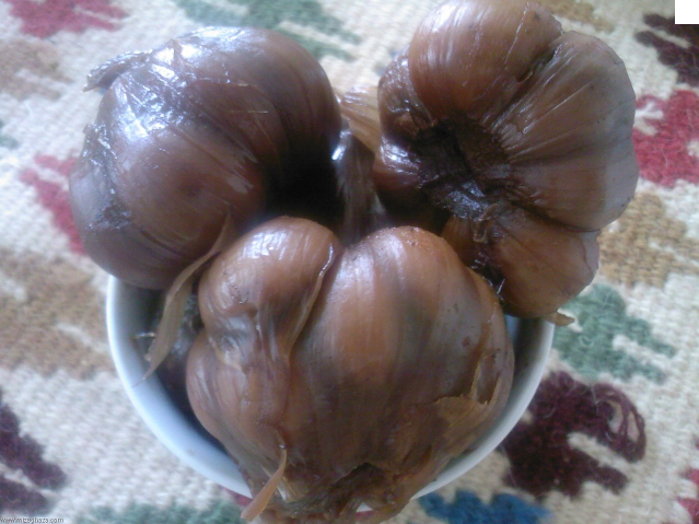 عکس زنجبیل