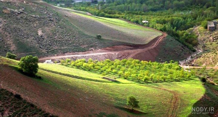 عکس سیر سفره هفت سین