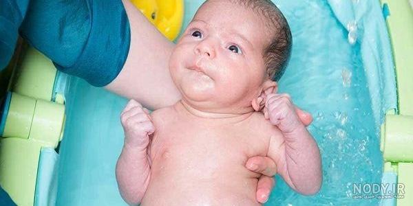 عکس به دنیا آمدن بچه خرگوش عکس به دنیا آمدن بچه خرگوش