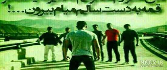 شاخ متن