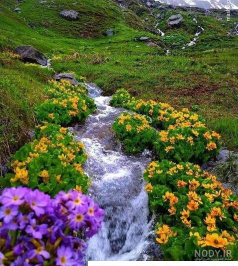 عکس سرسبز طبیعت عکس سرسبز طبیعت
