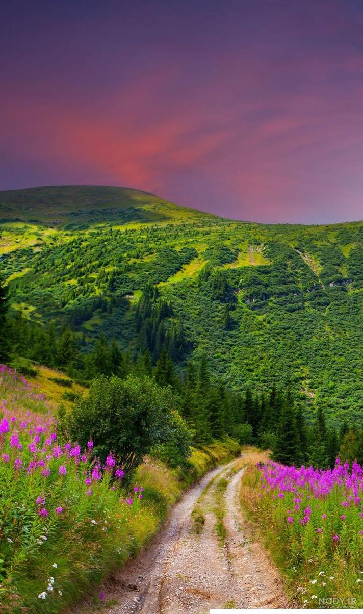 عکس سرسبزی بهار عکس سرسبزی بهار