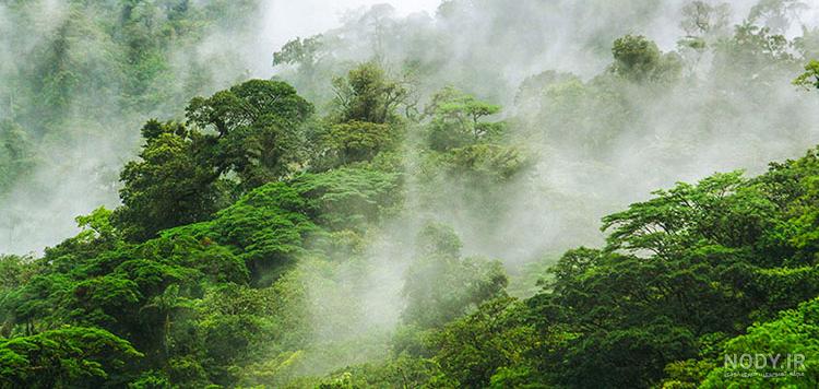 عکس سرسبزی طبیعت عکس سرسبزی طبیعت