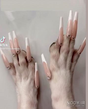 مدل ناخن مصنوعی بچه گانه جدید