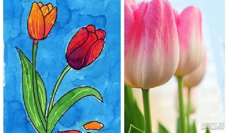 نقاشی گل لاله زیبا و ساده