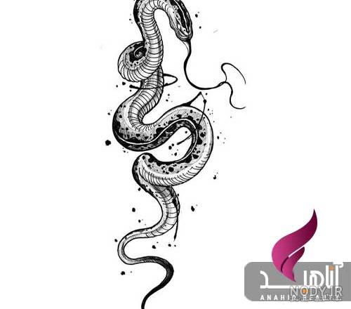 تاتو مار بویکا
