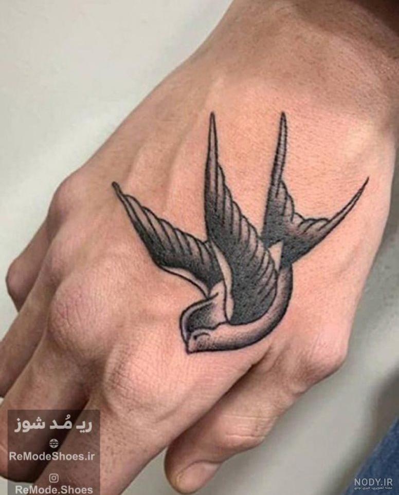 تتو_پرستو طرح خام