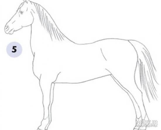 نقاشی ساده و زیبا اسب