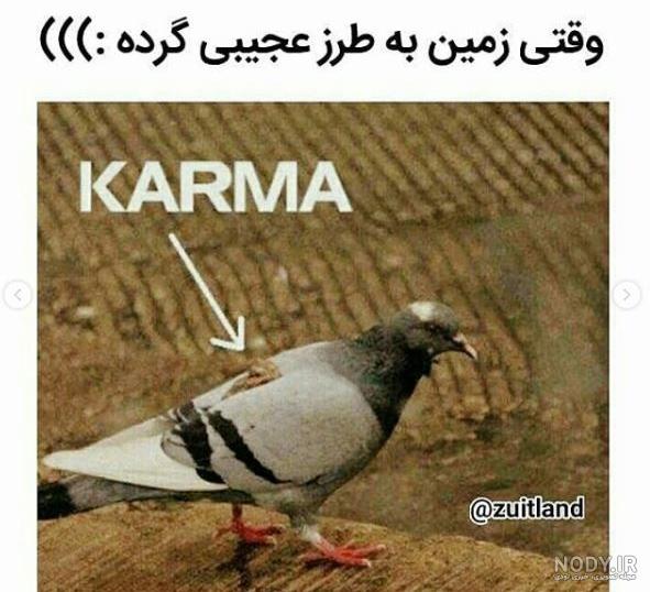 جملات خنده دار برای استوری