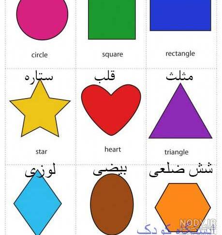 عکس قطر شکل ها عکس قطر شکل ها