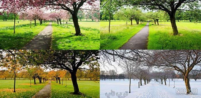 عکس های زیبا از طبیعت چهار فصل