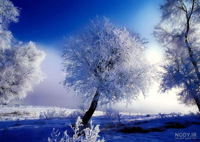 عکس های زیبای چهار فصل