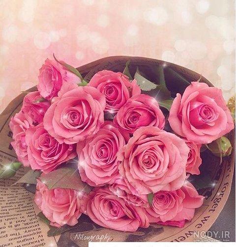 عکس گل برای پروفایل واتساپ دخترانه شیک ترین فیلم