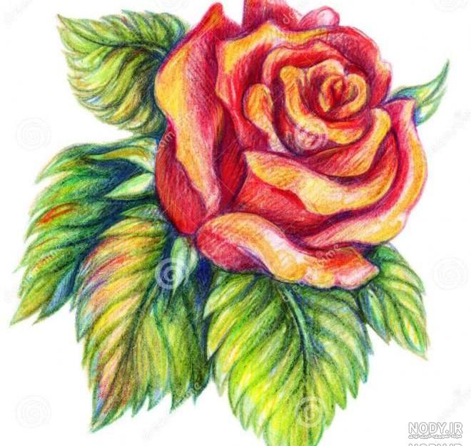عکس نقاشی گل خیلی سخت عکس نقاشی گل خیلی سخت