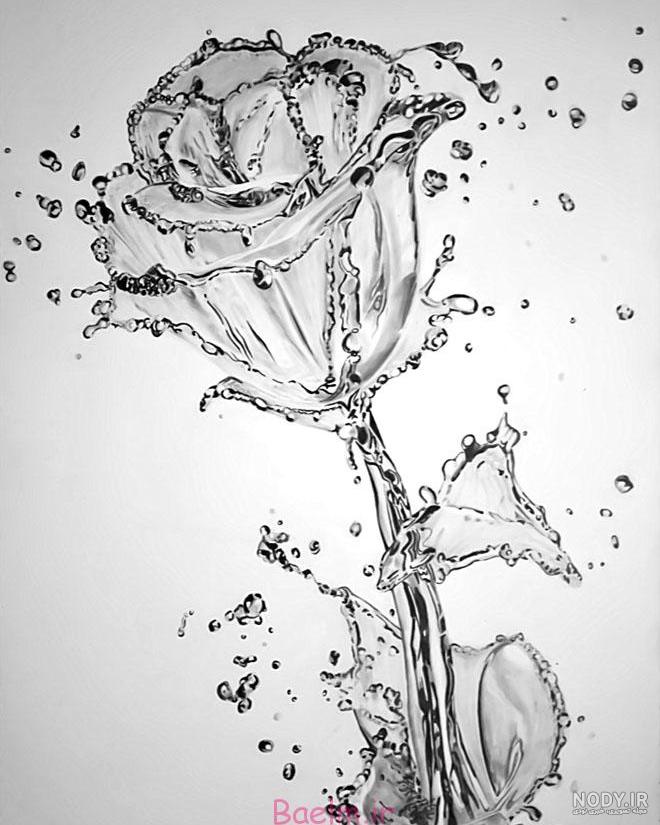 نقاشی گل رز نقاشی گل رز