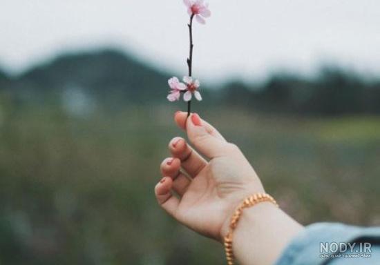 رمانتیک عکس گل زیبا