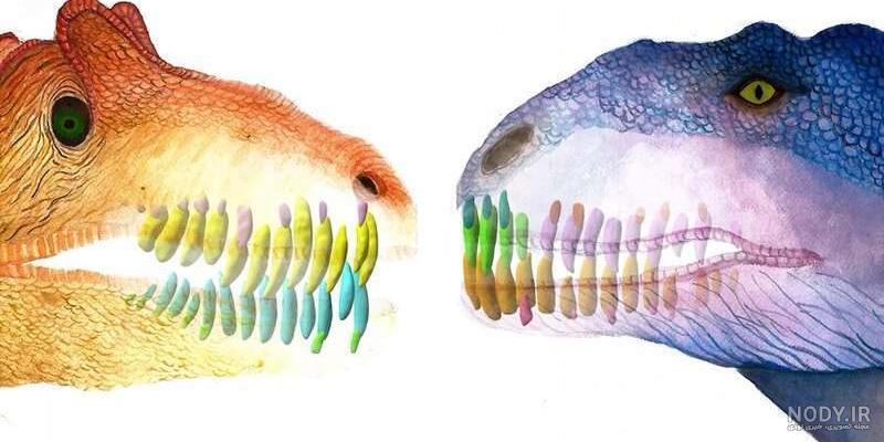 عکس دایناسور دندان