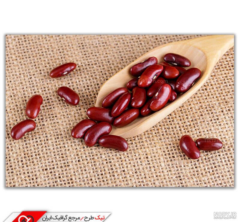 عکس لوبیا قرمز در گلدان