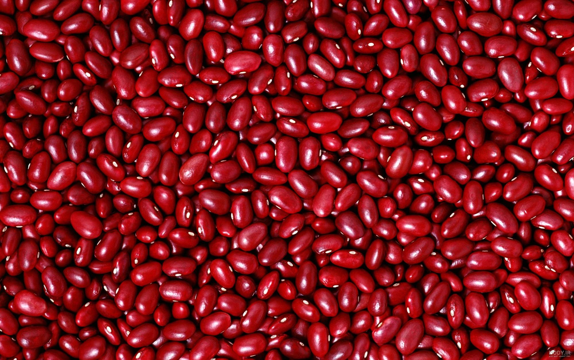 عکس لوبیا چیتی تازه