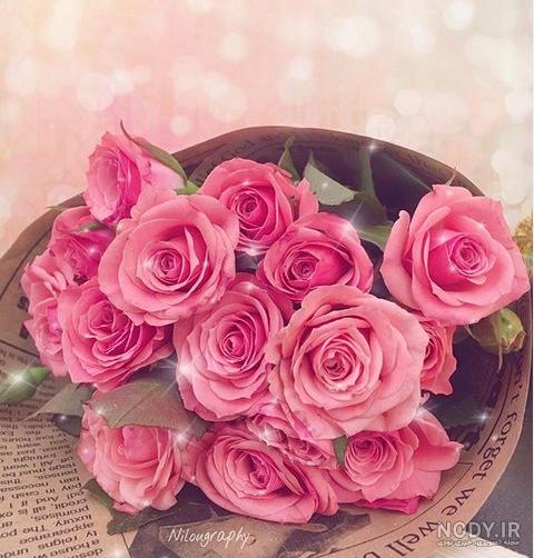 منظره عکس گل برای پروفایل واتساپ