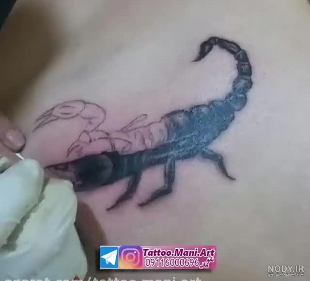 تاتو عقرب روی پا