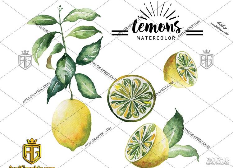 عکس نقاشی لیمو ترش