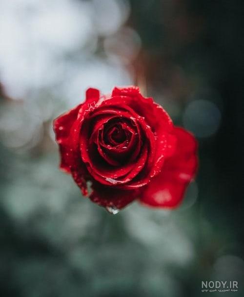 عکس های آبی مشکی