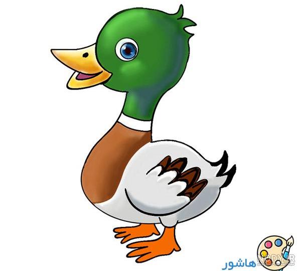 نقاشی مرغ نقاشی مرغ