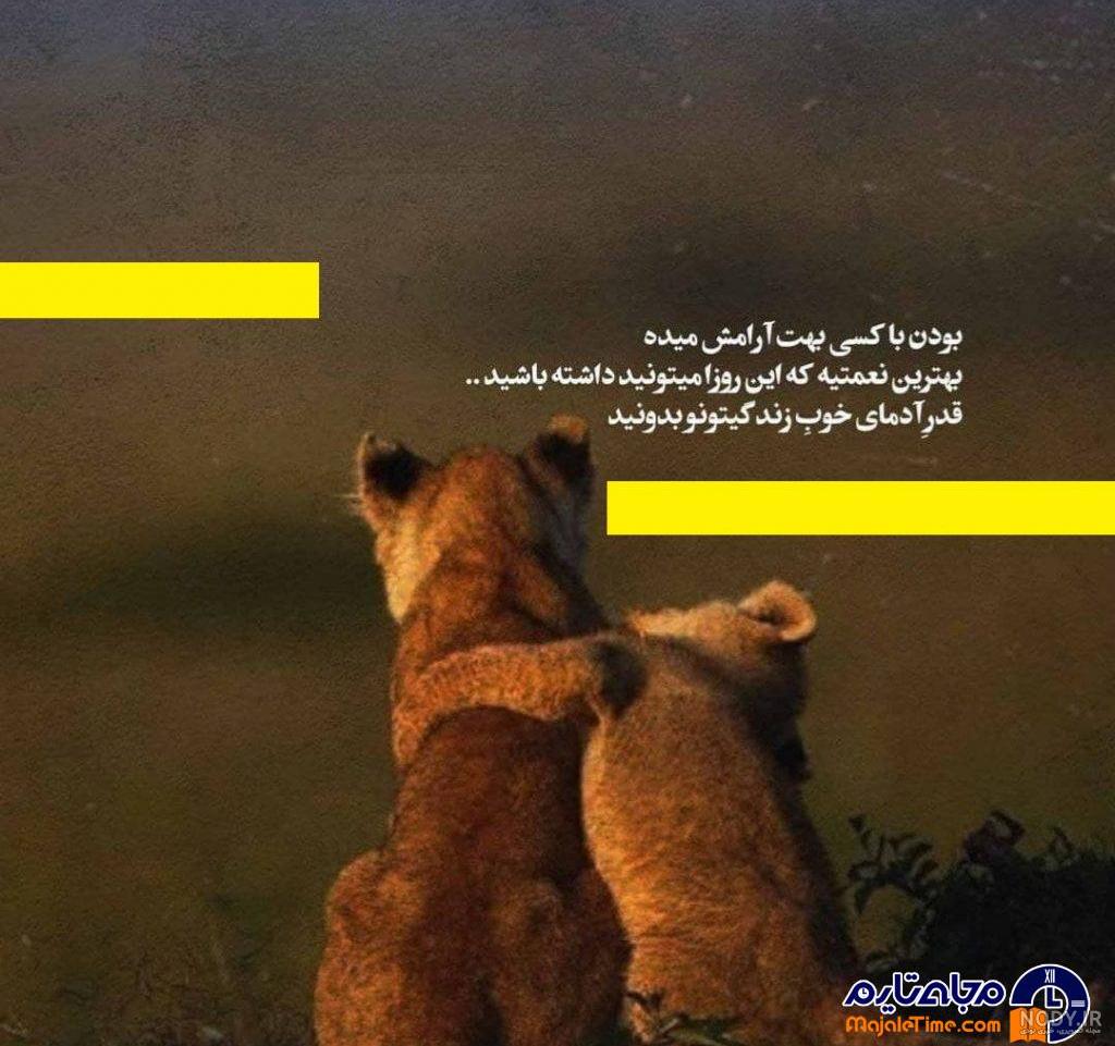 کردی کرمانشاهی پروفایل