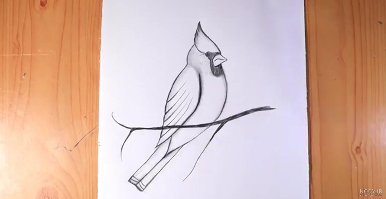 طراحی ساده طراحی ساده