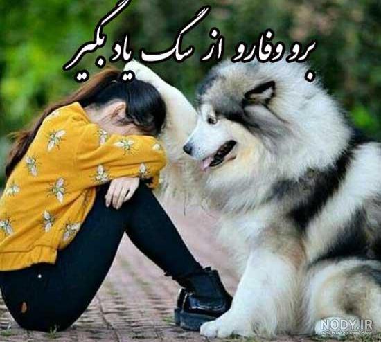عکس پروفایل سگ وحشی