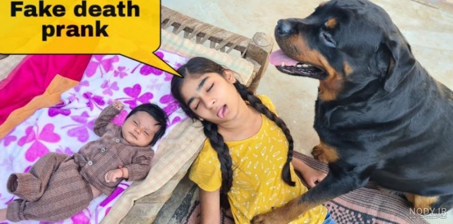 عکس پروفایل سگ وحشی