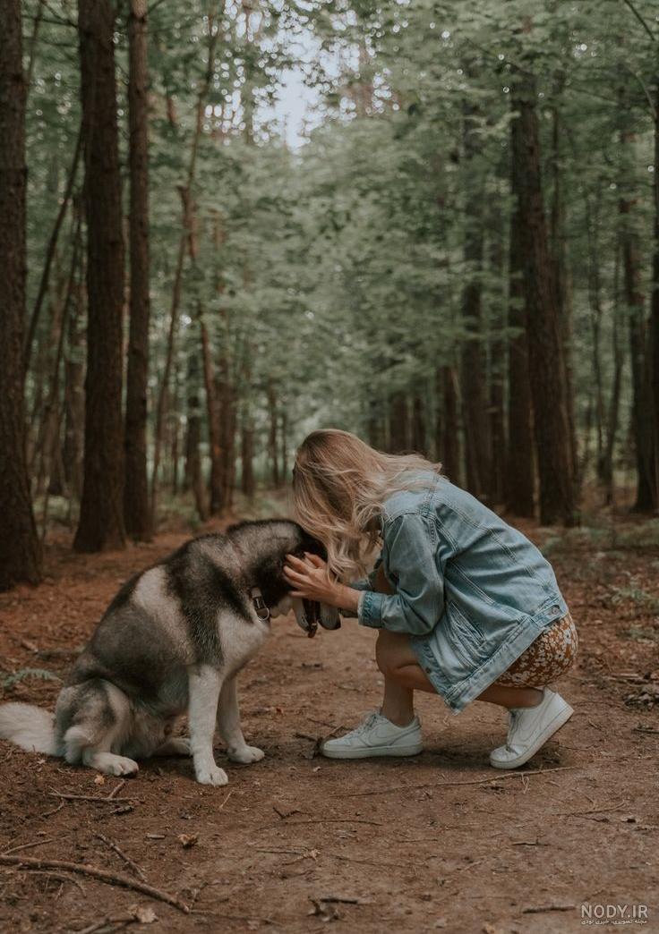 عکس پروفایل سگ وحشی