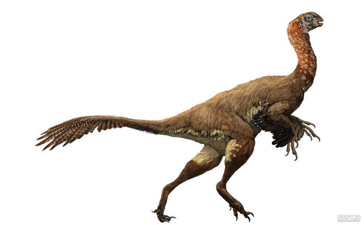 عکس دایناسورهای پردار