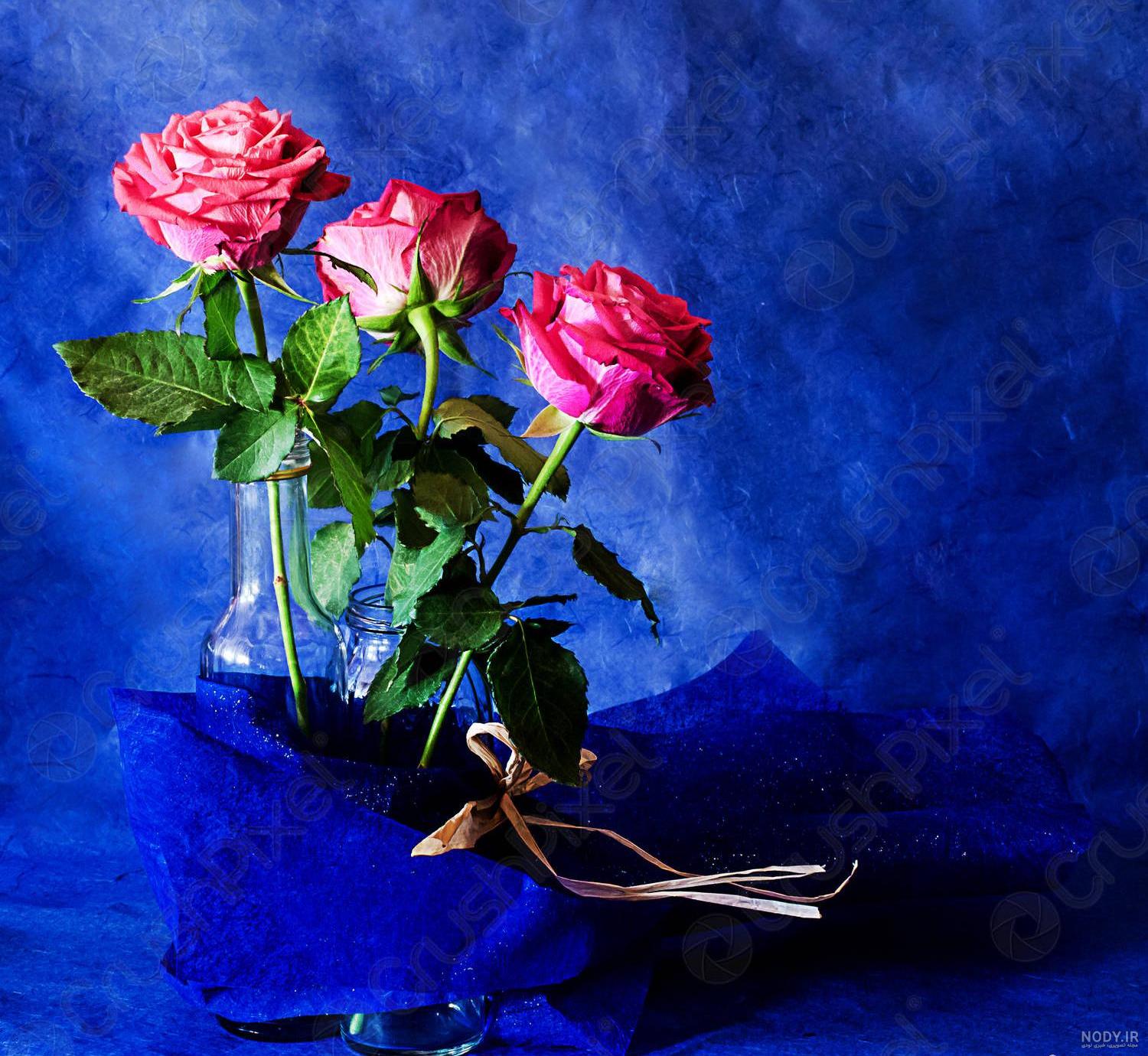 عکس گل عشق
