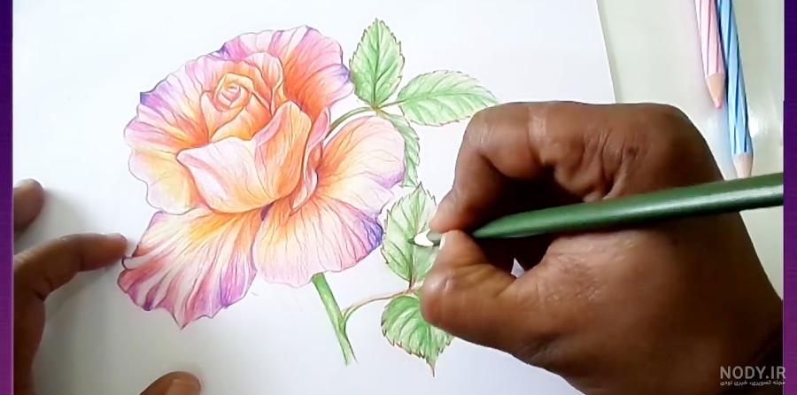 آموزش نقاشی گل زیبا با مداد رنگی