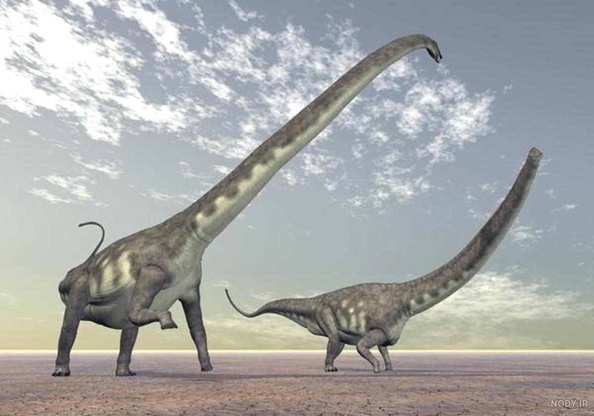 عکس دایناسور قد بلند