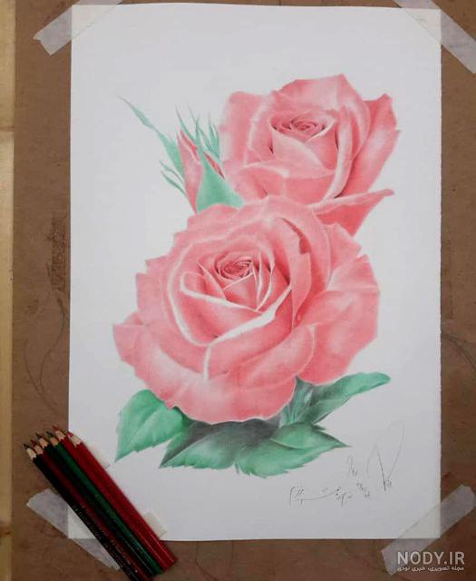 نقاشی گل زیبا با مداد سیاه و رنگی