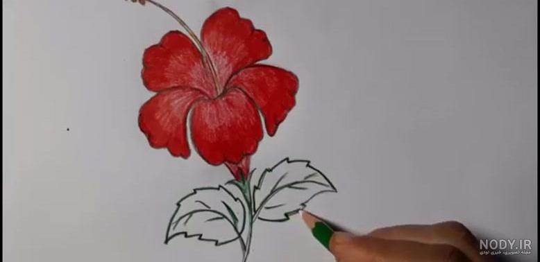 نقاشی گل ساده و زیبا با مداد رنگی
