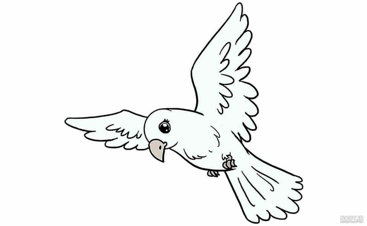 طوطی نقاشی پرنده